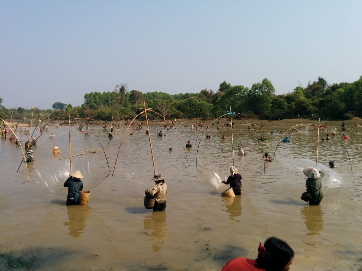 Communal harvesting of a culture-based fishery, Lao PDR 老挝人民民主共和国,以文化为基础的渔业的集体收获